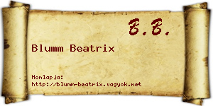Blumm Beatrix névjegykártya